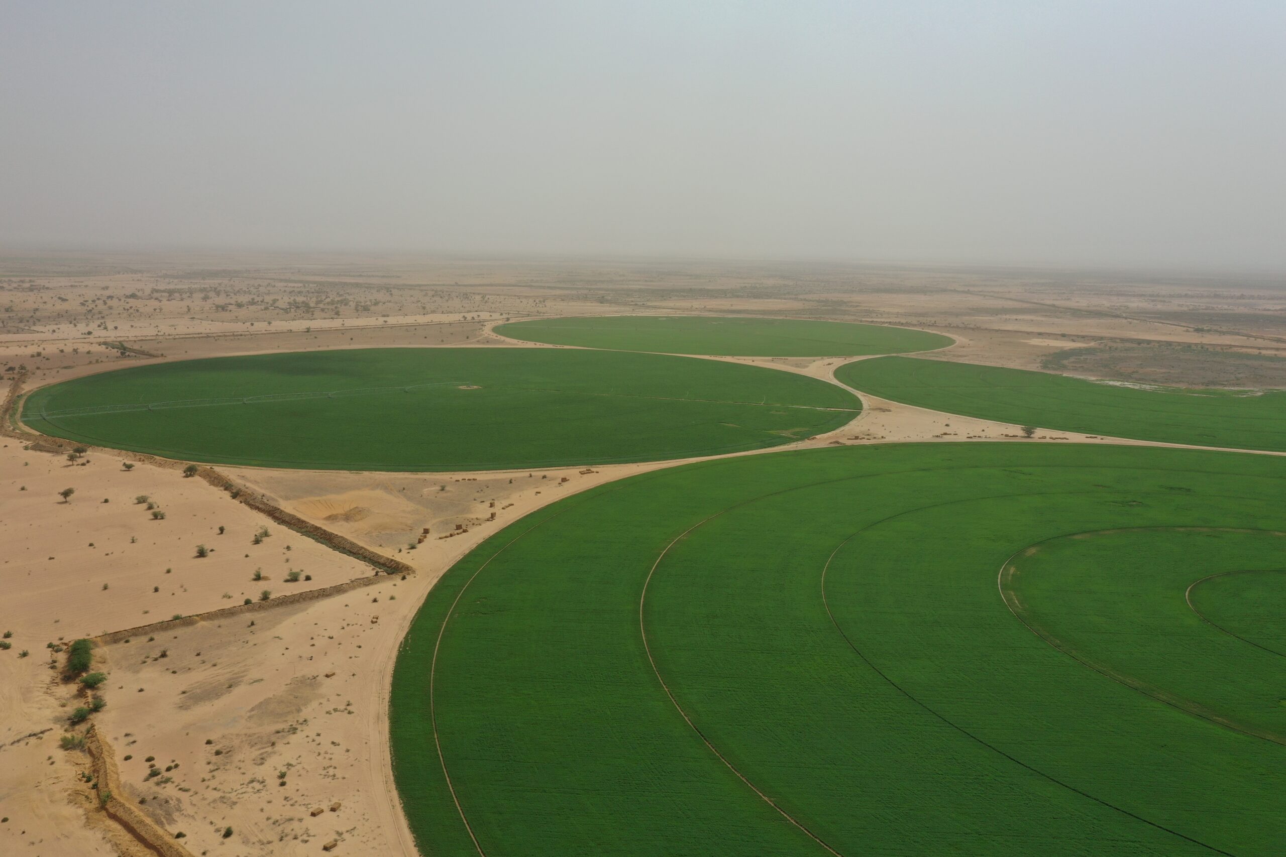 5O ans jusqu'à l'Agriculture de précision.