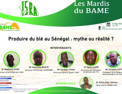 24e MARDI DU BAME – Produire du blé au Sénégal : mythe ou réalité ?