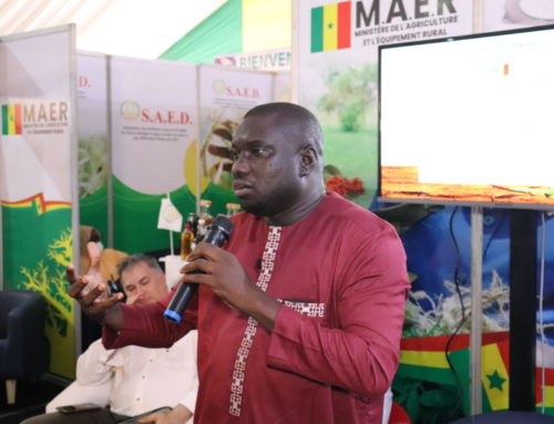 “Le Sénégal doit mettre en place des stratégies endogènes qui s’appuient sur la recherche pour l’atteinte de la souveraineté alimentaire face aux effets du changement climatique selon Dr Tamsir MBAYE, Directeur de ISRA/CNRF
