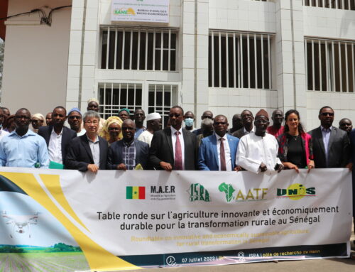 Table ronde sur l’agriculture innovante et économiquement durable pour la transformation rurale au Sénégal