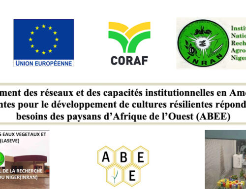 Projet ABEE : Fourniture et installation de matériels de laboratoire et autres équipements pour l’INRAN/Niger