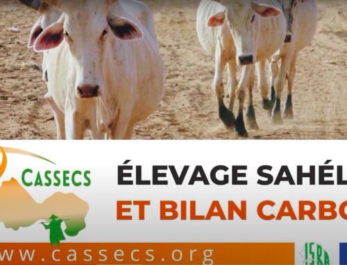 Film de présentation de CaSSECS : Un Projet pour la reconnaissance des systèmes d’élevage pastoraux au Sahel