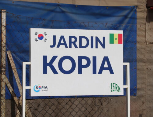L’ISRA recrute pour “KOPIA Center Senegal” un gestionnaire de jardin