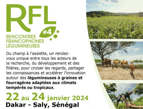 L’ISRA et le CIRAD organisent les 4e Rencontres Francophones Légumineuses (RFL4) au Sénégal