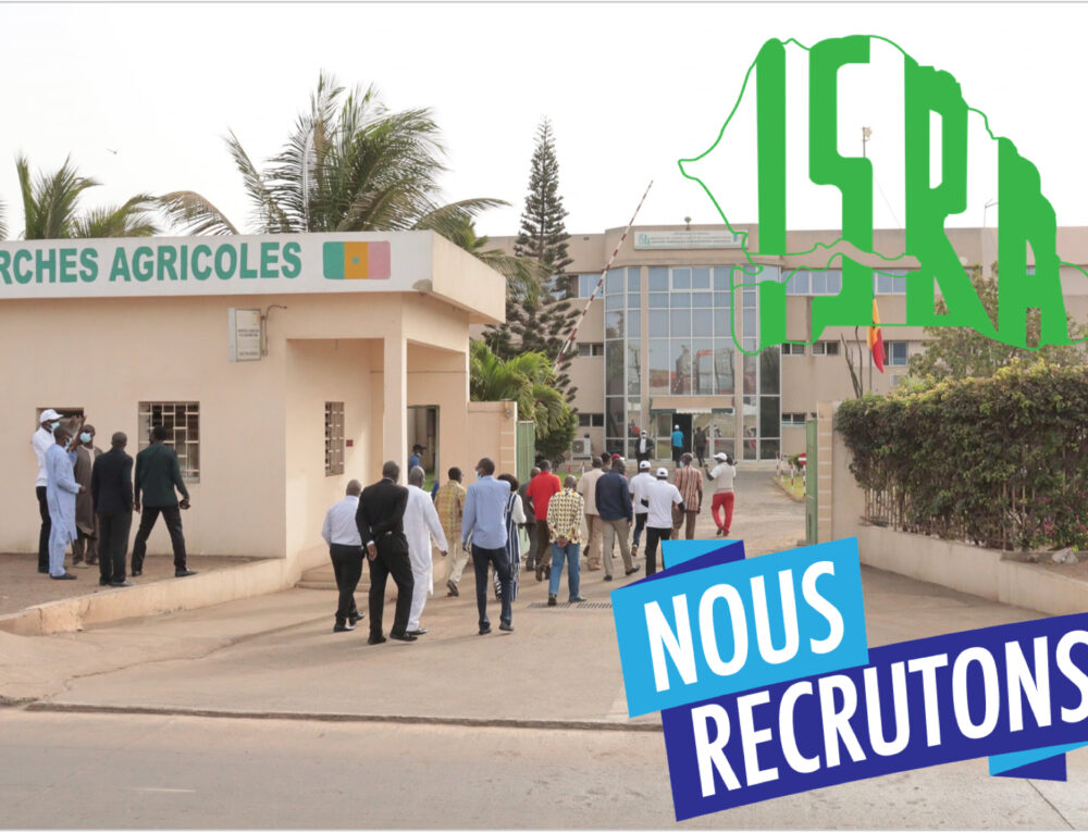 Demande spontanée pour un stage ou un emploi à l'ISRA - | Institut