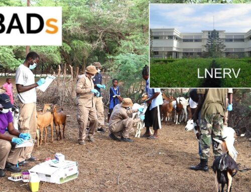 L’ISRA recrute un consultant pour le projet Global Burden of Animal Diseases – GBADs Impact mondial des maladies animales