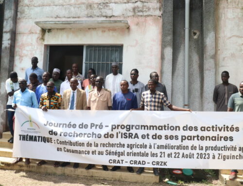 En perspective de la programmation des activités scientifiques de l’ISRA en 2024 : Les Centres de Tamba et de la Casamance ont tenu leur journée commune de préprogrammation
