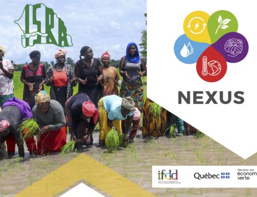 NEXUS SÉNÉGAL : Second appel à candidature pour la sélection d’innovations agricoles