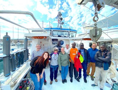 En perspective de l’installation de la Plateforme d’imagerie quantitative en Afrique de l’ouest : Une équipe du CRODT capacitée sur la surveillance des communautés planctoniques