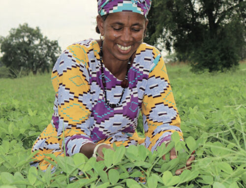 “LA LETTRE DE L’ISRA” N° 21 – Initiatives, projets, programmes : l’ISRA s’engage dans la promotion de l’agroécologie au Sénégal