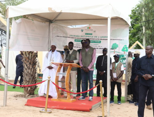 41e Journée nationale de l’arbre à Touba : l’ISRA au cœur de l’évènement