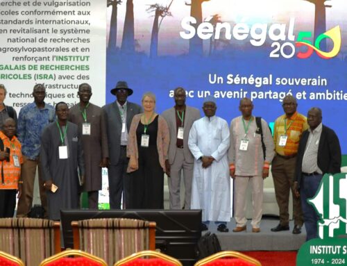 CST 2025 : L’ISRA invité à arrimer ses recherches sur le référentiel “Sénégal 2050”