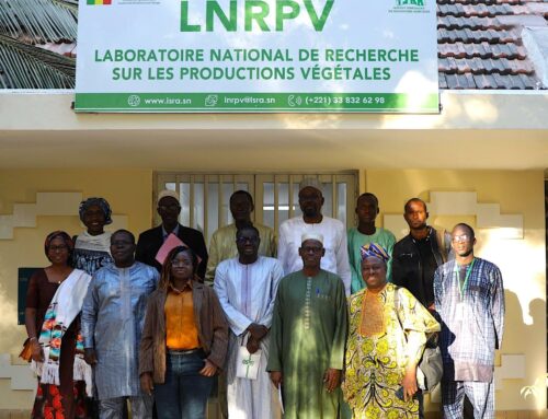 Rencontre de collaboration et d’échanges sur le financement durable du Conseil Agricole : l’ISRA reçoit une délégation du ministère béninois de l’Agriculture, de l’Élevage et de la Pêche