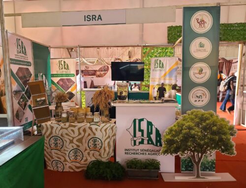 FIARA 2025 : L’ISRA au cœur des solutions pour la souveraineté alimentaire
