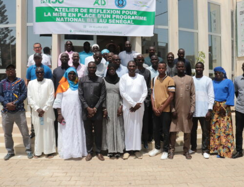 Le Sénégal trace la voie vers l’autosuffisance en blé : vers un Programme national structurant