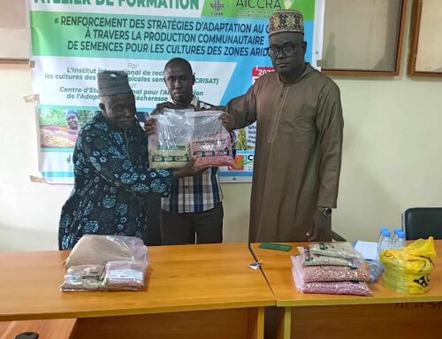 Production de semences communautaires : AICCRA et l’ISRA renforcent les producteurs agricoles