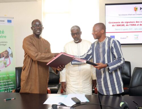 Renforcement de la sécurité alimentaire au Sénégal : l’ISRA et le FNDASP mutualisent leurs ressources