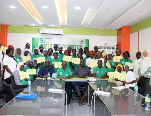 Formation agricole : L’ISRA et le PAIS renforcent les capacités des producteurs de Kaolack et Kolda sur la production de semences horticoles