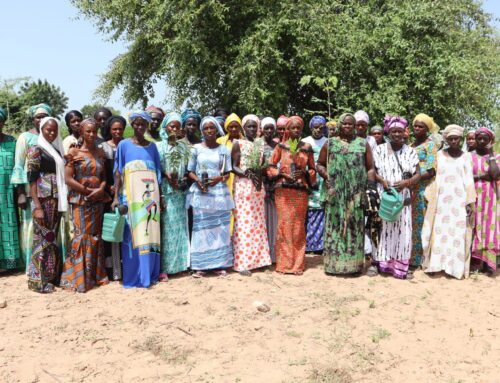 Villages Intelligents face au Climat : ces laboratoires agroécologiques pour une résilience socio-économique des communautés face au changement climatique