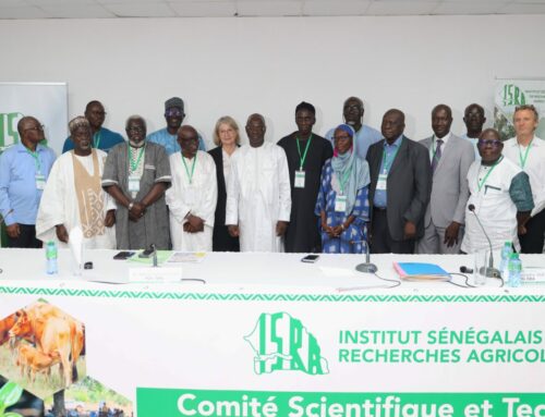 CST ISRA 2025 : entre appui gouvernemental et réforme scientifique