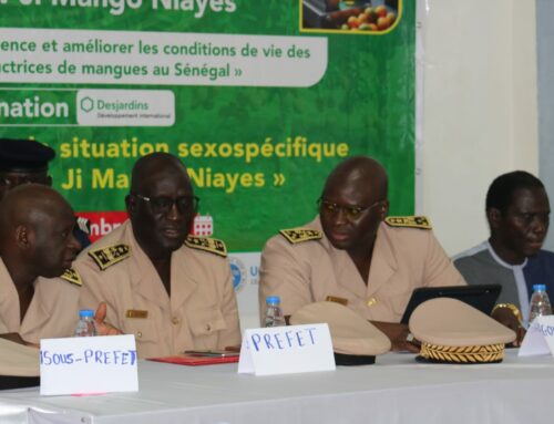 Les Niayes : Face aux Périls Climatiques, le Projet « Jaww Ji Mango » Place le Genre au Cœur de la Résilience de la Filière Mangue