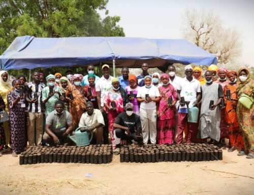 Formation sur les pépinières communautaires : un engouement qui ravive l’espoir et appelle une nouvelle phase du projet VIC/ENABEL dans les villages intelligents face au climat