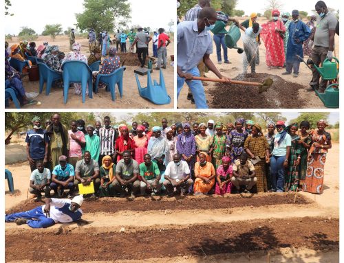 Projet ENABEL/VIC : l&rsquo;horticulture durable au cœur de la résilience climatique dans les communes de Diamal et Ndiago