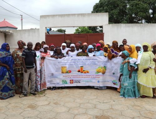 Valorisation de la mangue dans les Niayes : le projet « Jaw Ji Mango Niayes » forme les transformatrices pour faire de la mangue un moteur de résilience et de création de richesses